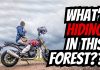 Motorbiking Across the Isle of Arran