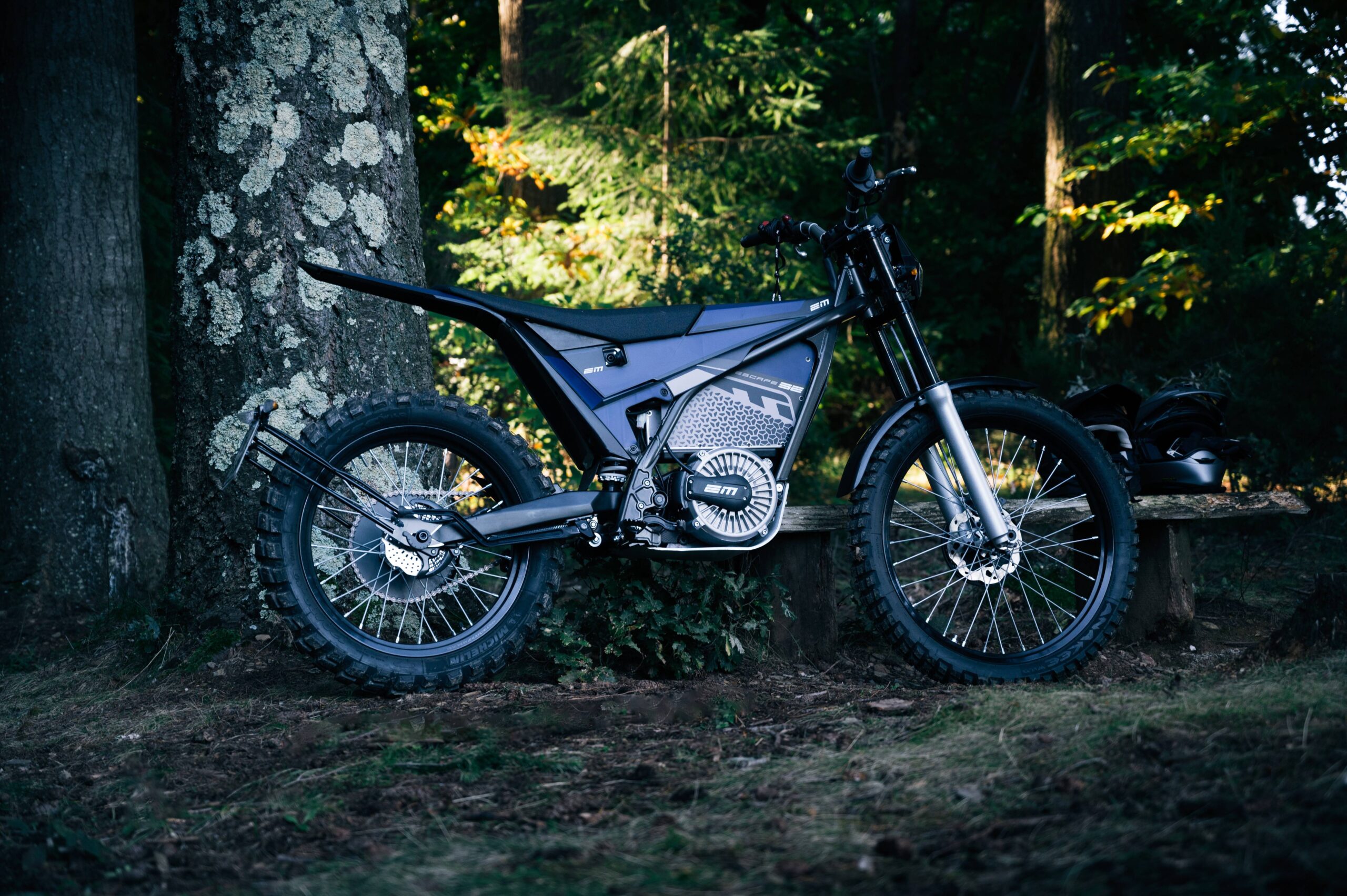 EM Electric Motion (4)