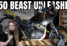 The Himalayan 750 Is Not What We Expected